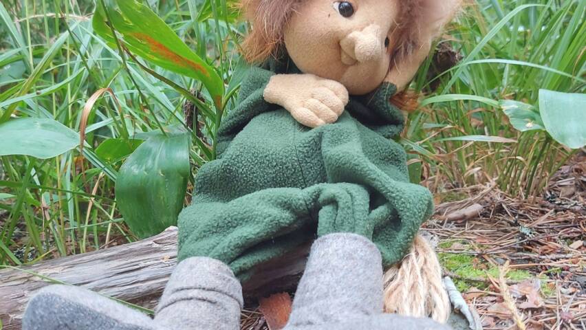 Metsämörri istuu maassa